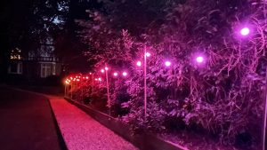 Programmable LED Festoon